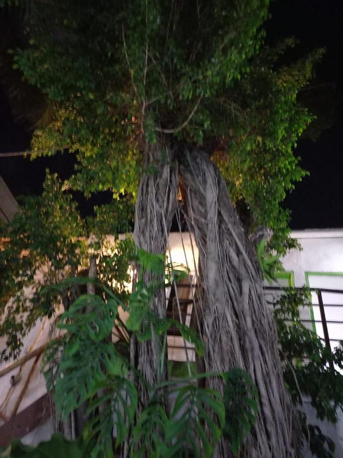 Mundo Maya Tulum Eksteriør bilde